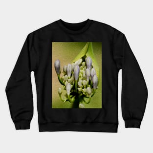 Agapanthus Crewneck Sweatshirt